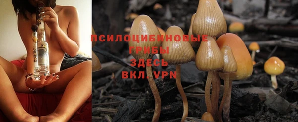 2c-b Липки