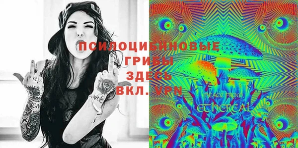 2c-b Липки