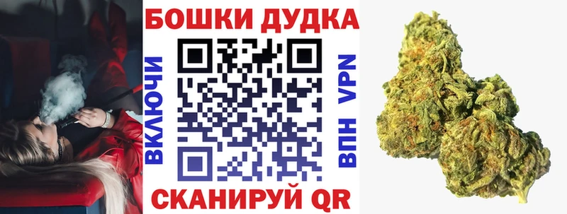 Марихуана план  Купить  Надым 